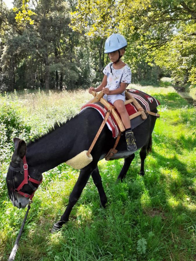 Gite En Comminges Franquevielle Bagian luar foto