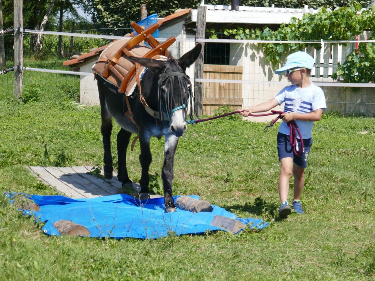 Gite En Comminges Franquevielle Bagian luar foto